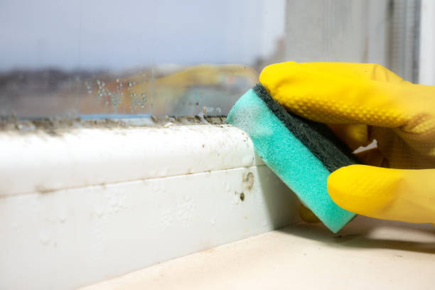 Best Preventive Mold Services in Morrow, GA